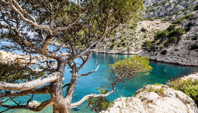 Calanque de Morgiou